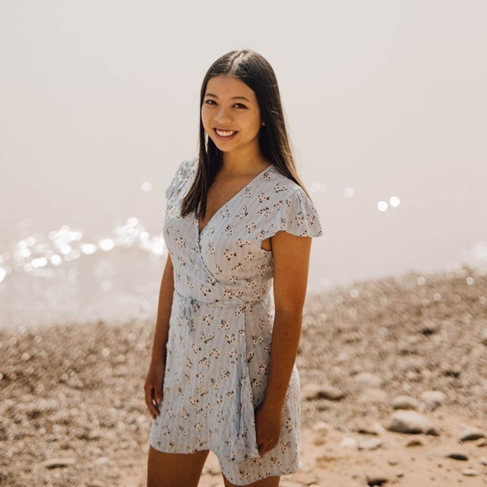 Brandy Melville rare Robbie dress